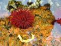 2006_freycinet_camping_047